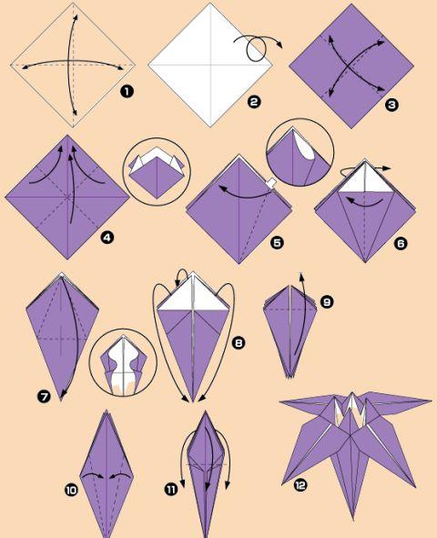 kviti_iris1_origami