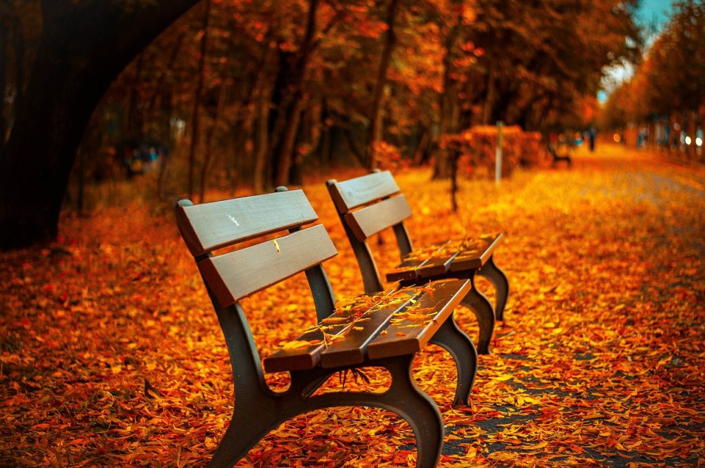 Короткі вірші про осінь для дітей