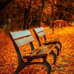 Короткі вірші про осінь для дітей